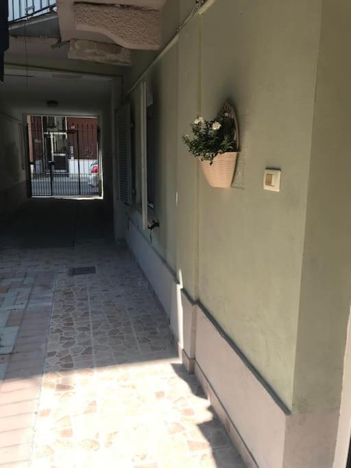 Mini Ospedale * Alessandria